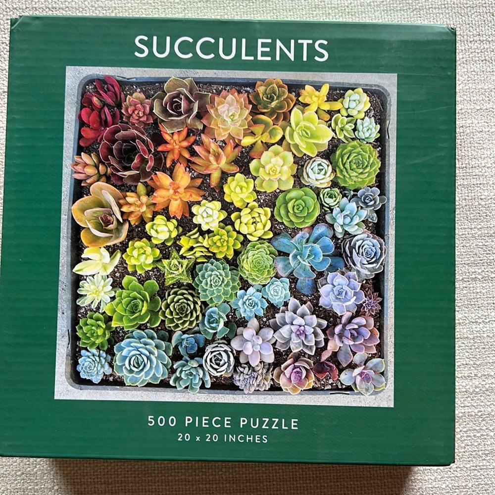 500 piece Jigsaw puzzle of beautiful succulents.